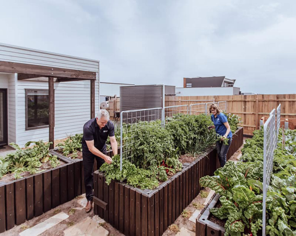 Foodcube Trellis Foodcube  